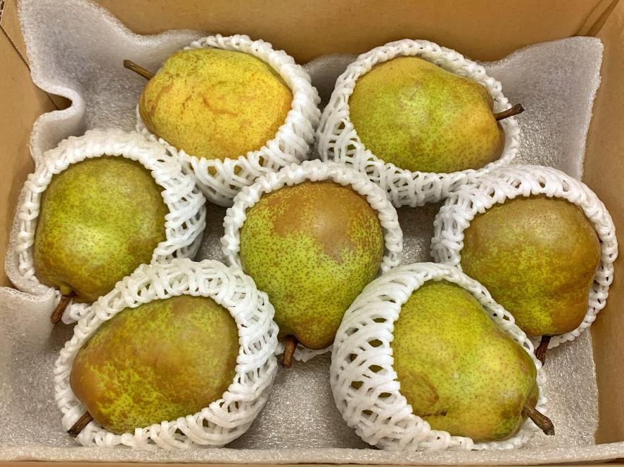 西洋梨(ラフランス) 旬の産地 – 旬の果物通販ならグローバルフルーツ