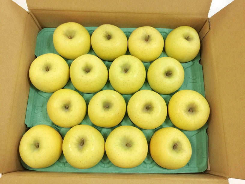 □山形県産 葉取らずパイナップルりんご 約2kg 8～13玉 予約