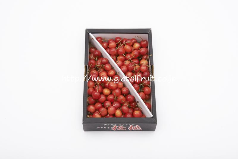 さくらんぼ EASTBEE チェリー 4号缶 ( 固形量230g / 約21～29粒入り / さくらんぼ