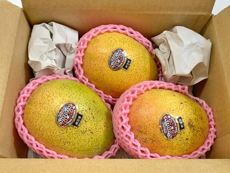 キーツマンゴー メキシコ産 – 旬の果物通販ならグローバルフルーツ