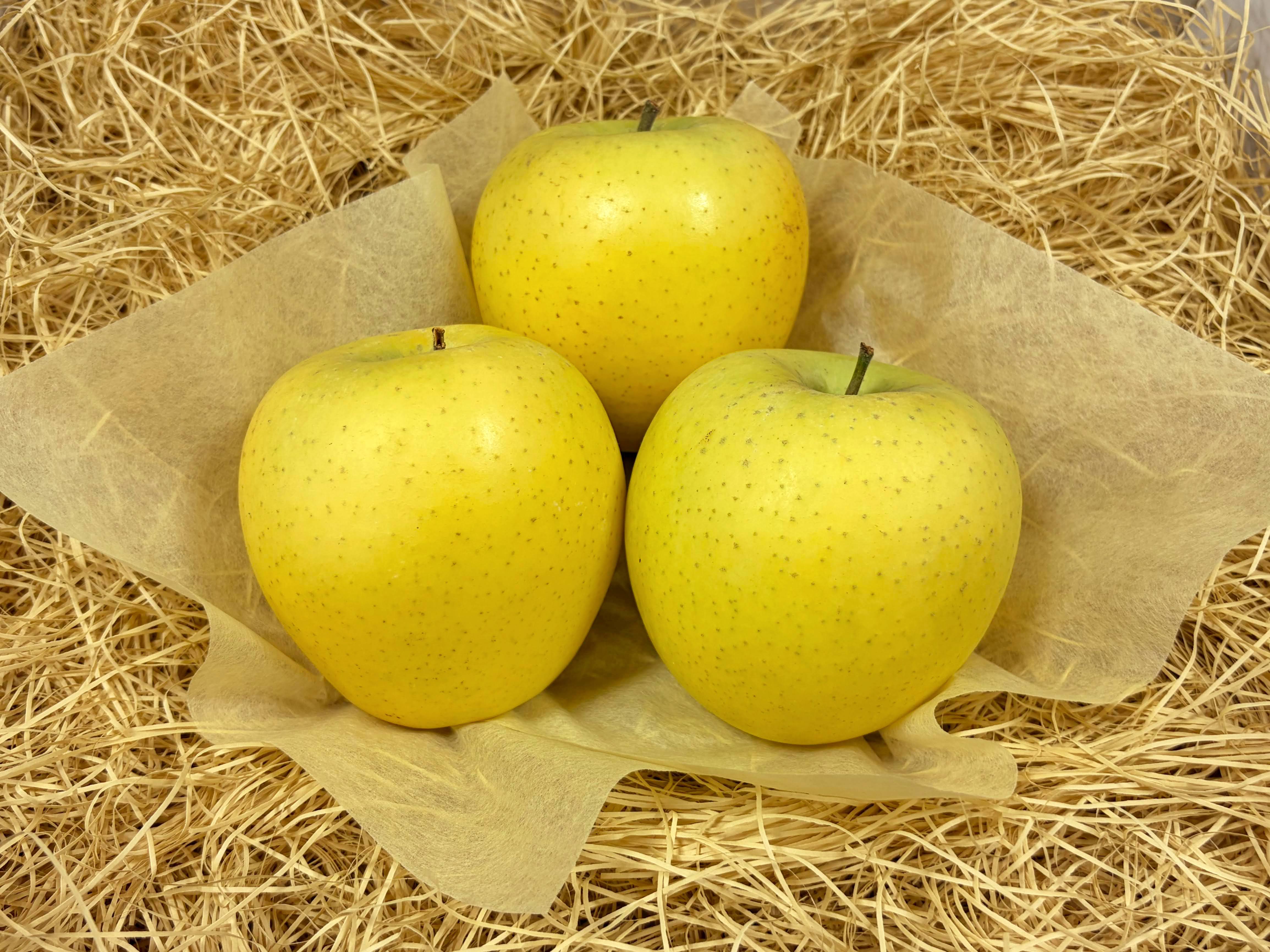 りんご(シナノゴールド) 長野産 – 旬の果物通販ならグローバルフルーツ