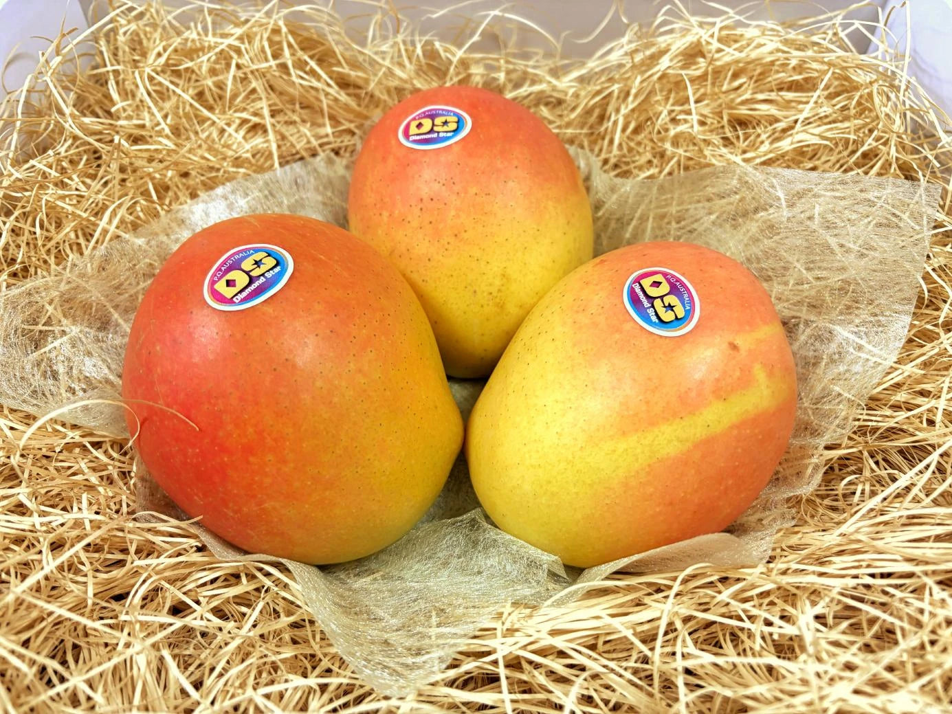 ピーチマンゴー オーストラリア産 – 旬の果物通販ならグローバルフルーツ