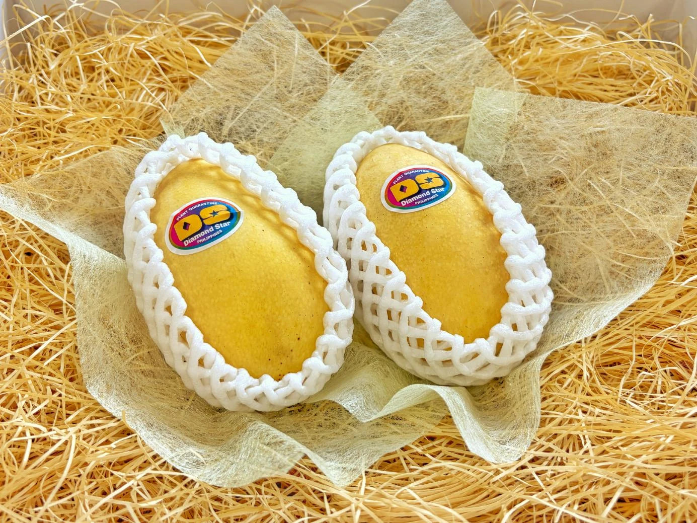 フィリピンマンゴー – 旬の果物通販ならグローバルフルーツ