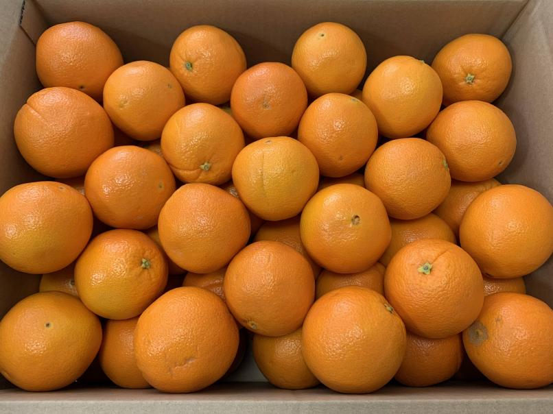 ネーブルオレンジ 入荷情報 🍊🇺🇸 輸入品Tバイヤーオススメ商品 米国産 カシュー