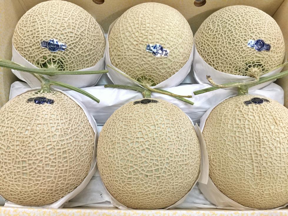 クラウンメロン – 旬の果物通販ならグローバルフルーツ
