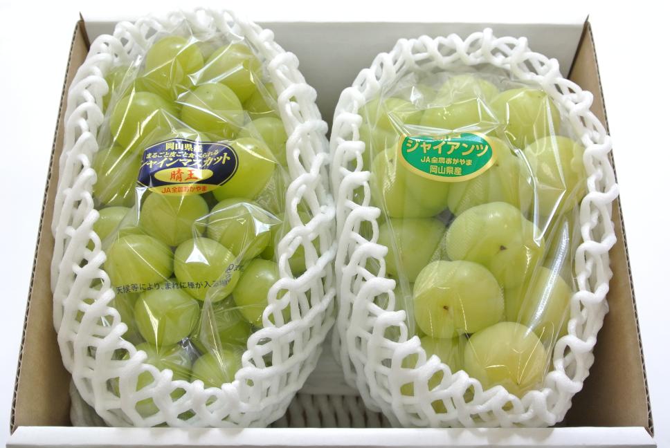 ぶどう 岡山産 – 旬の果物通販ならグローバルフルーツ