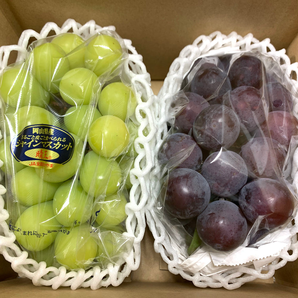 
                      
                        果物お試し品
                      
                    