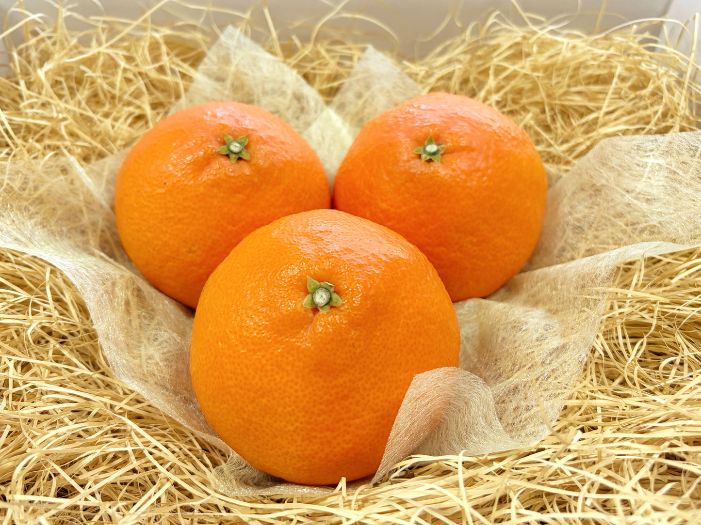 紙パッキンの上に並べられた紅まどんな3個