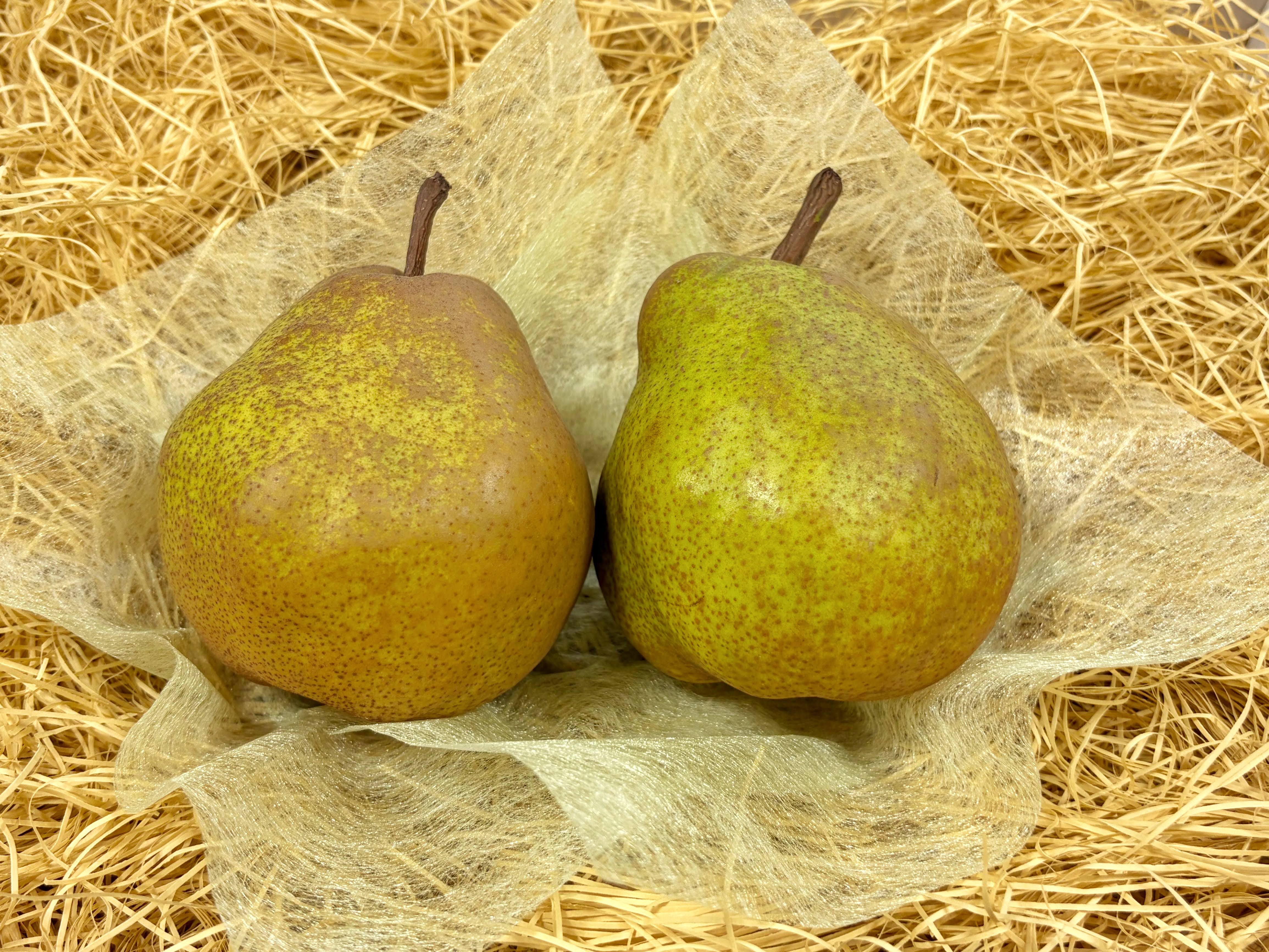 西洋梨(ラフランス) 旬の産地 – 旬の果物通販ならグローバルフルーツ