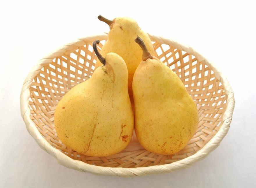 梨・洋梨 – 旬の果物通販ならグローバルフルーツ