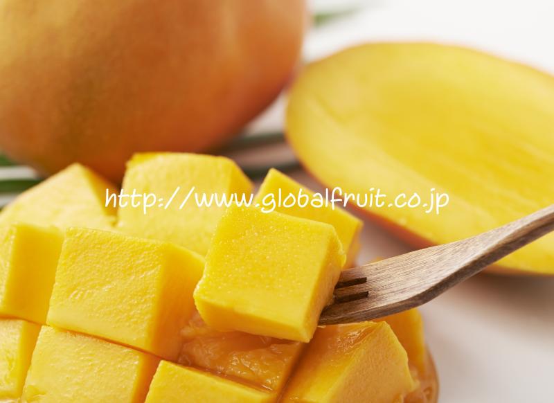 梨・洋梨 – 旬の果物通販ならグローバルフルーツ