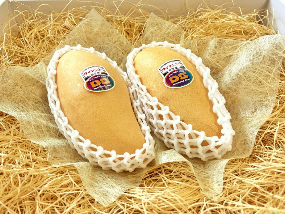 紙パッキンの上に並べられたタイマンゴー2個