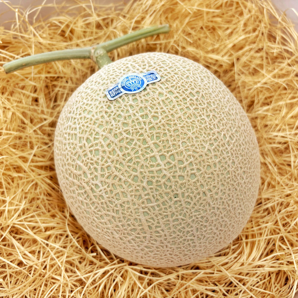 クラウンメロン静岡産1個