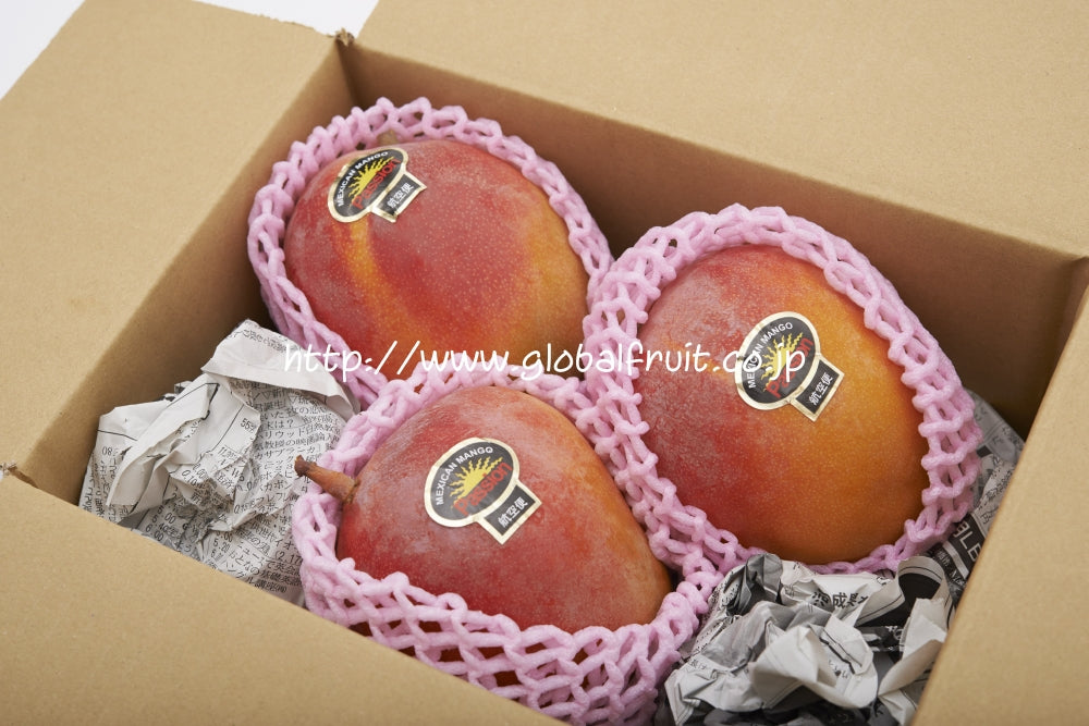 メキシコマンゴー – 旬の果物通販ならグローバルフルーツ