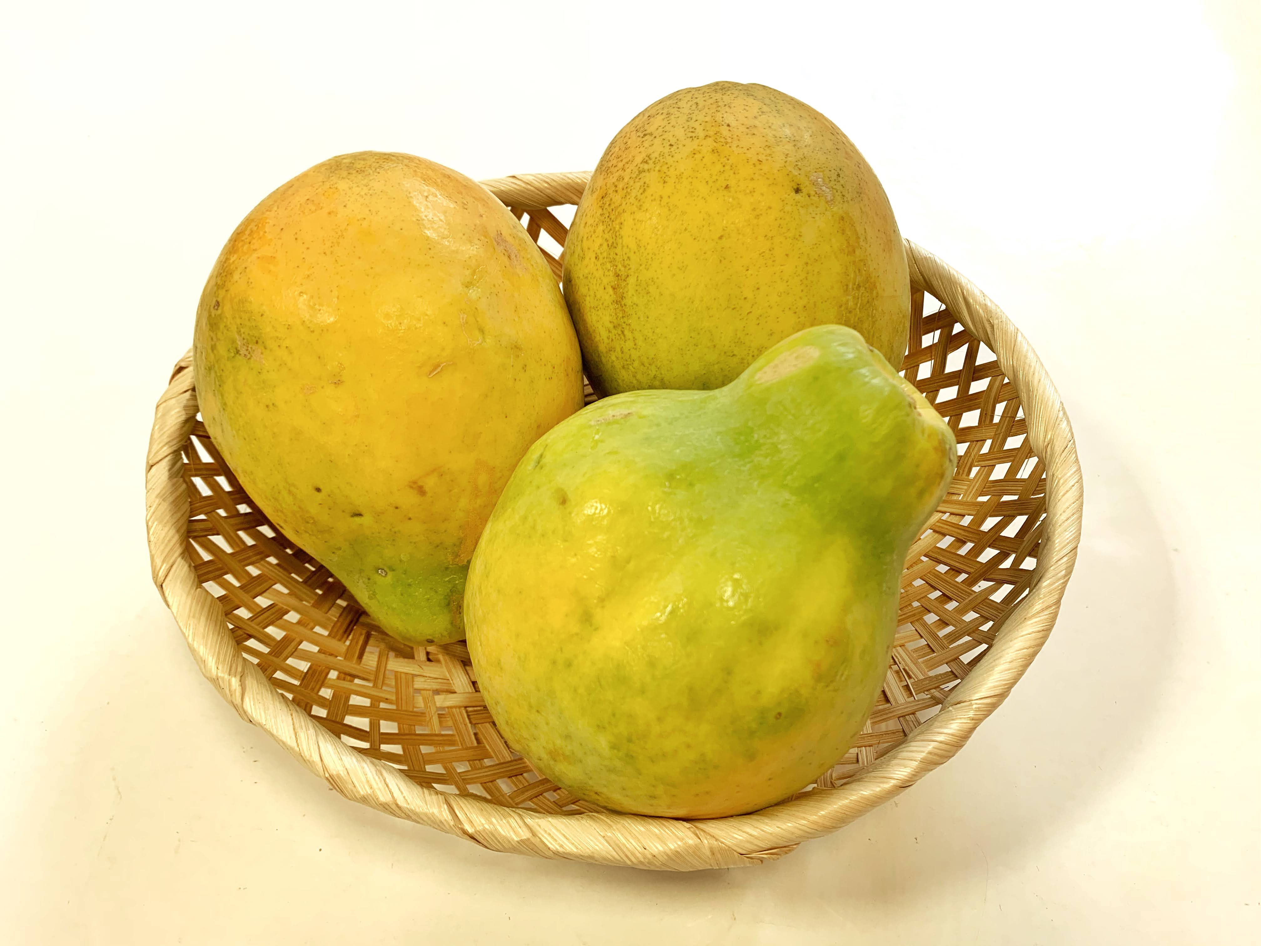 貴重【現地調達版】ブラジルフルーツの本「Frutas Brasileiras」 旬の果物通販ならグローバルフルーツ