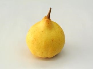 西洋梨の品種(ルレクチェ)