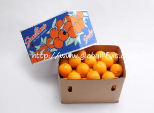 ネーブルオレンジ72個入り箱