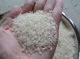 群馬産米の精白米