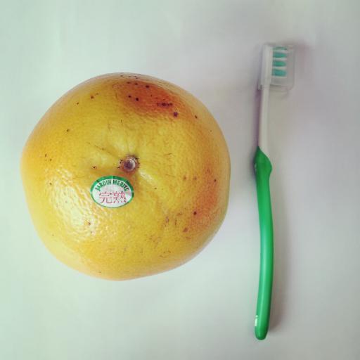 グレープフルーツ × 歯ブラシ