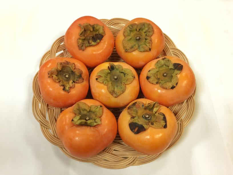 静岡県産　次郎柿、大きめ6個