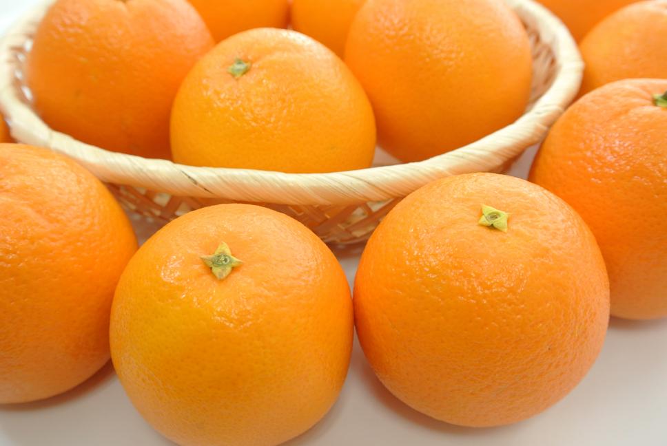 オーストラリア産　ネーブルオレンジ　果物